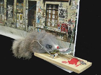 'Two Worlds; Wood, Paper and Synthetic Rodent Closeup
